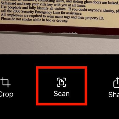 Sensory Reader bottom toolbar showing the Scan button highlighted with a red box, alongside Crop and Share buttons